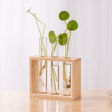 Nounas Transparent Flower Glass Pot Home Vase Plant Decor